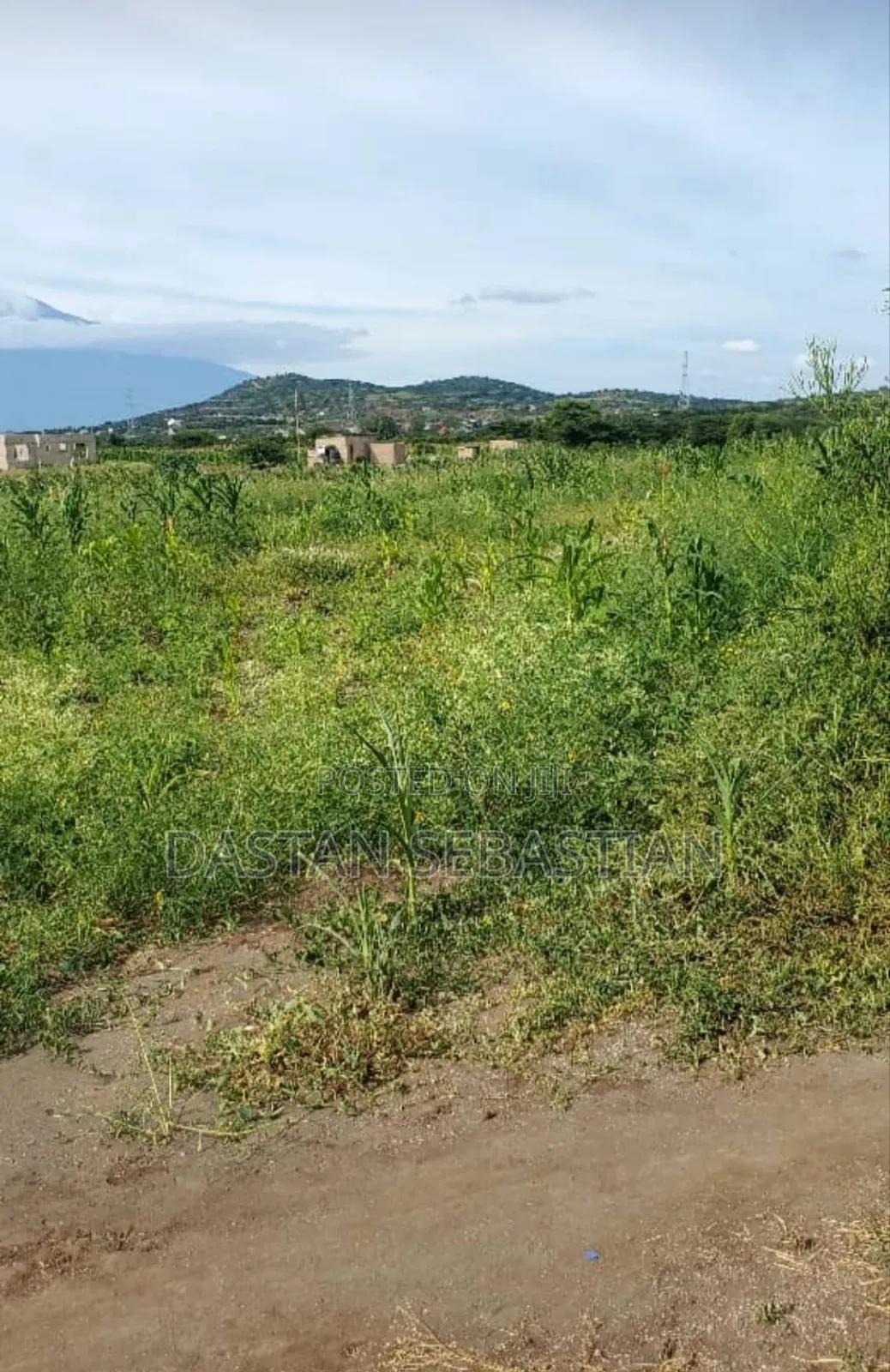 New Project Kisongo Meserani
