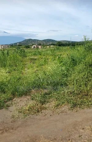 New Project Kisongo Meserani