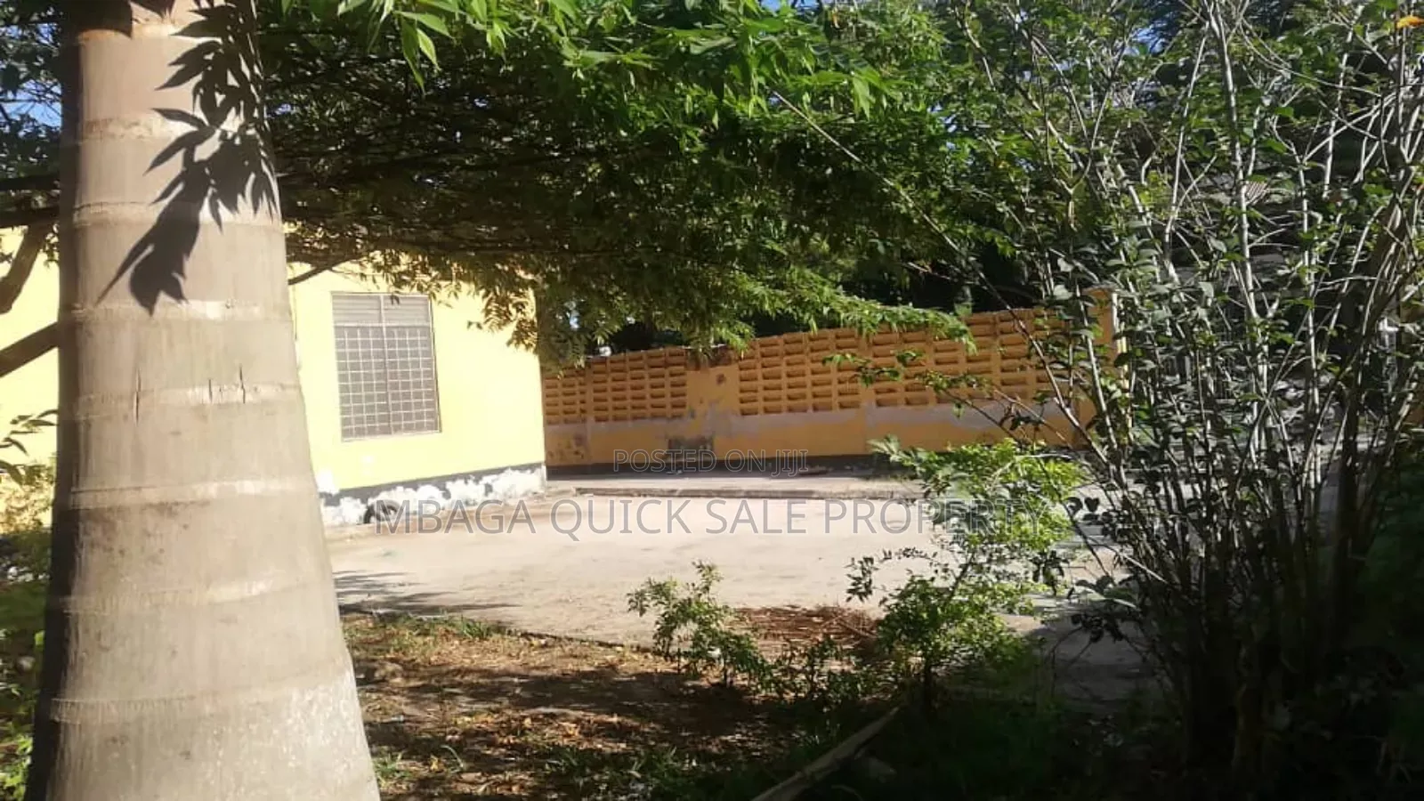 3bdrm House in Mikocheni Palm for rent