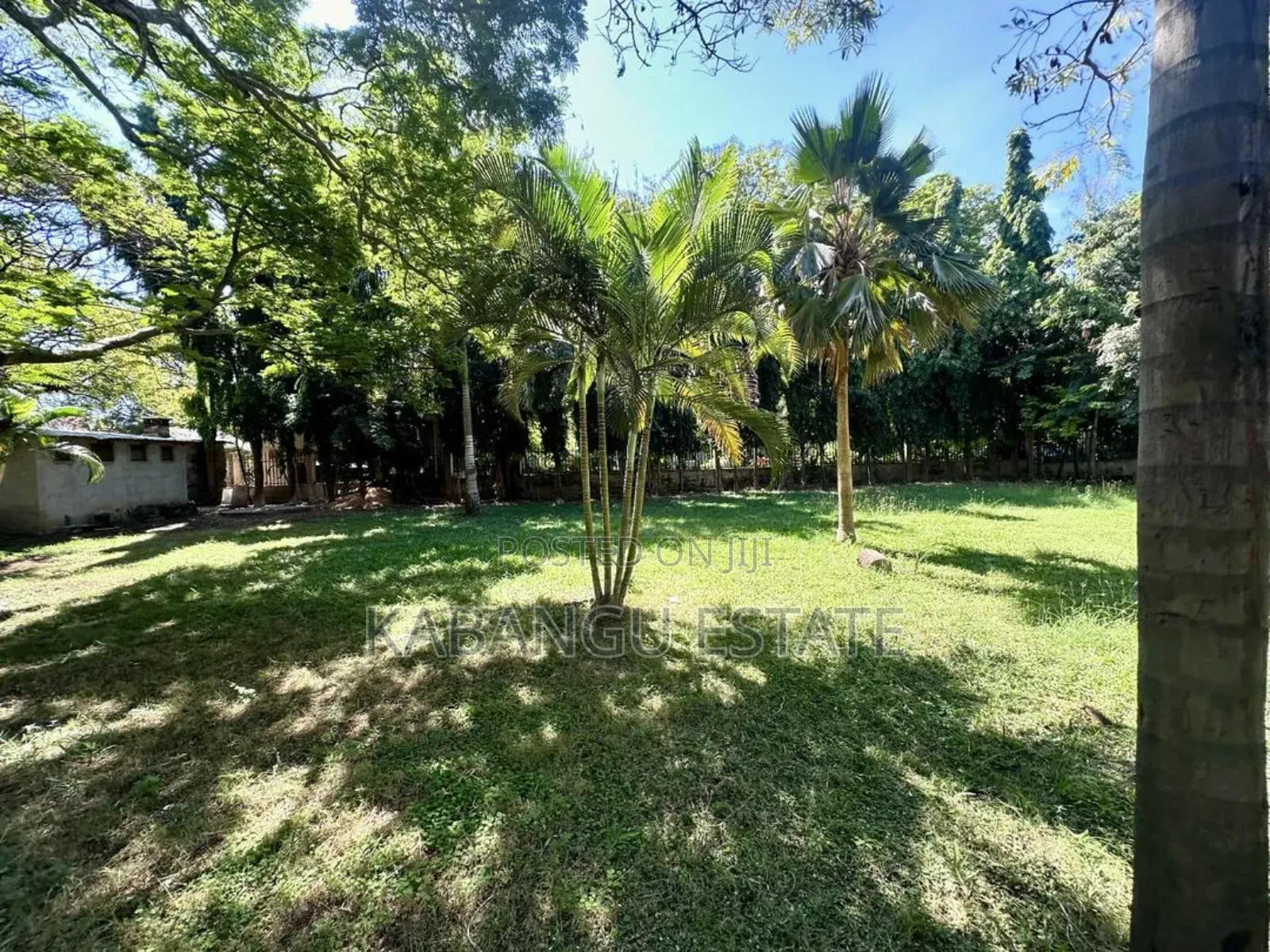 3bdrm House in Oysterbay, Kinondoni for rent