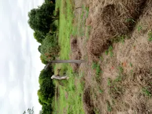 Plot for Sale at Kibaha Mlandizi