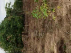 Plot for Sale at Kibaha Mlandizi
