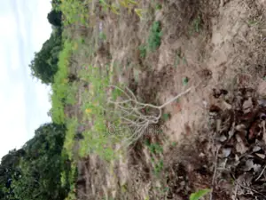 Plot for Sale at Kibaha Mlandizi