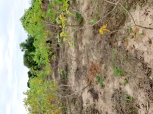 Plot for Sale at Kibaha Mlandizi