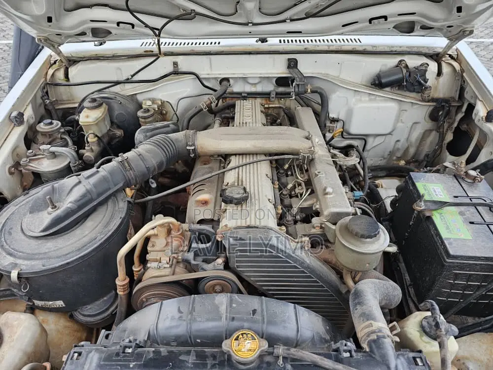 Toyota Land Cruiser 2006 White