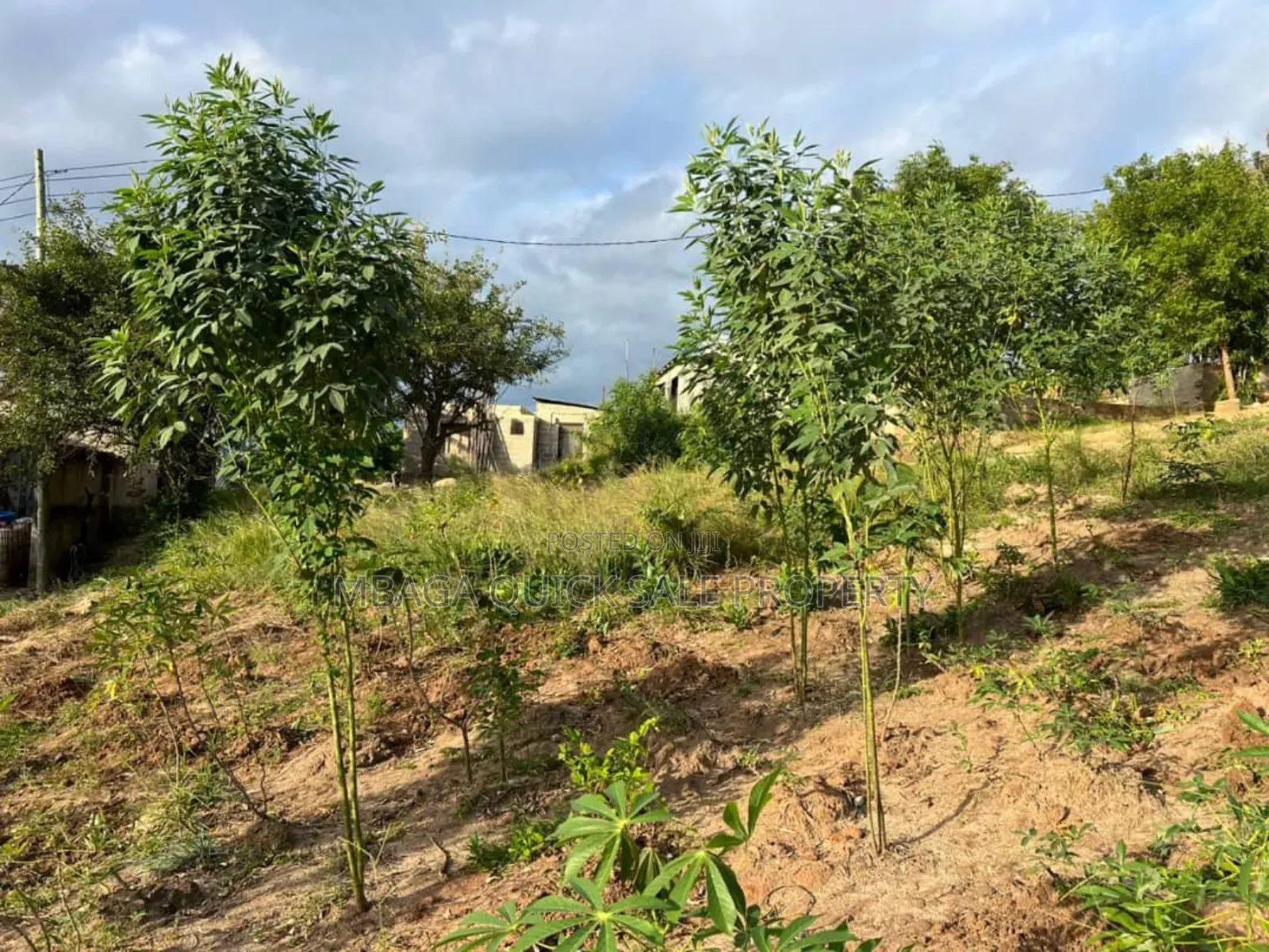 2 Plot for Sale at Goba Kulangwa