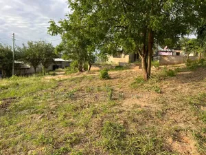 2 Plot for Sale at Goba Kulangwa