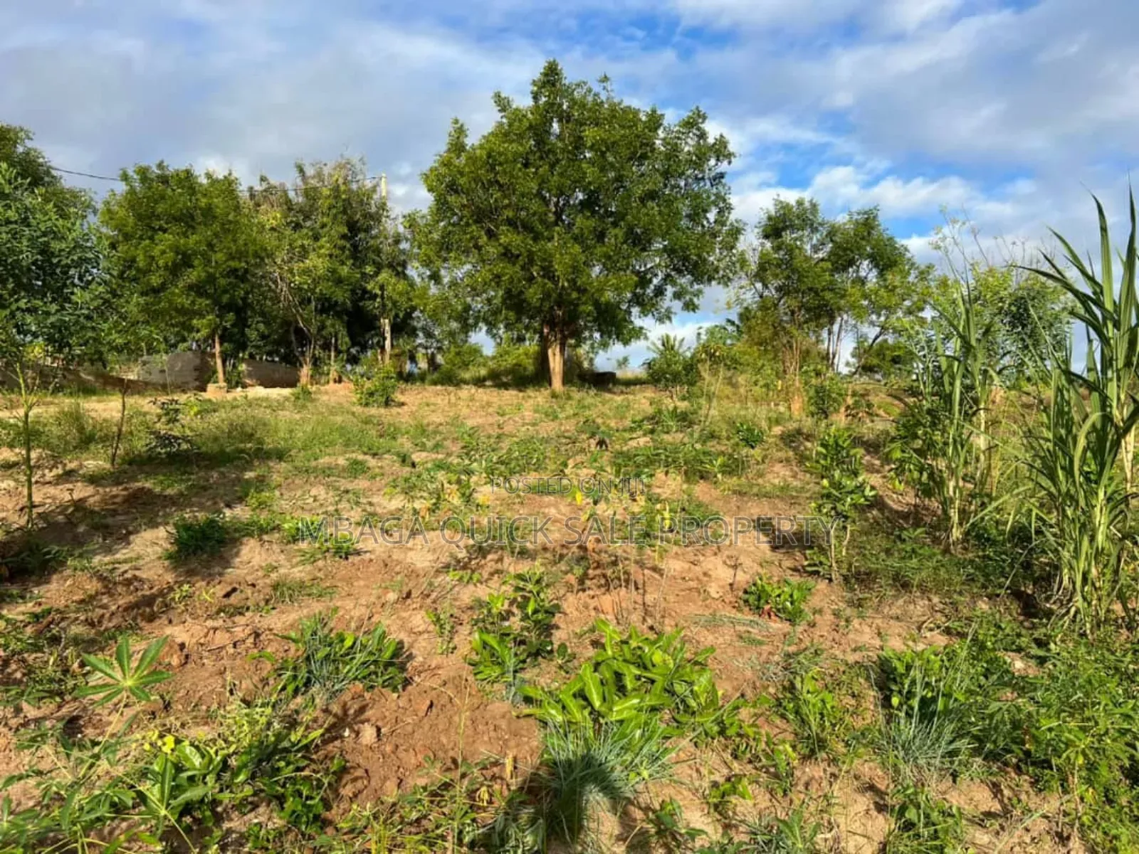 2 Plot for Sale at Goba Kulangwa