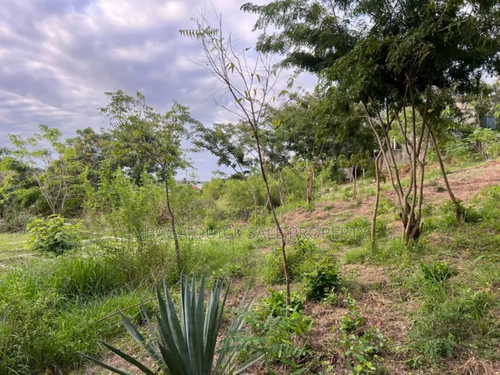 2 Plot for Sale at Goba Kulangwa