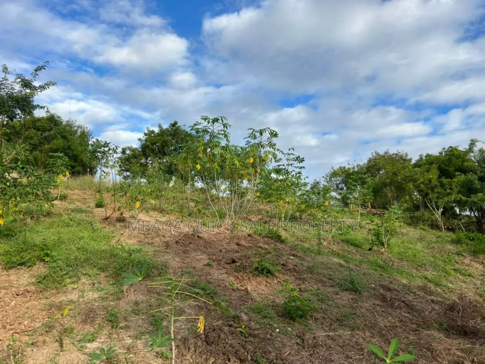 2 Plot for Sale at Goba Kulangwa