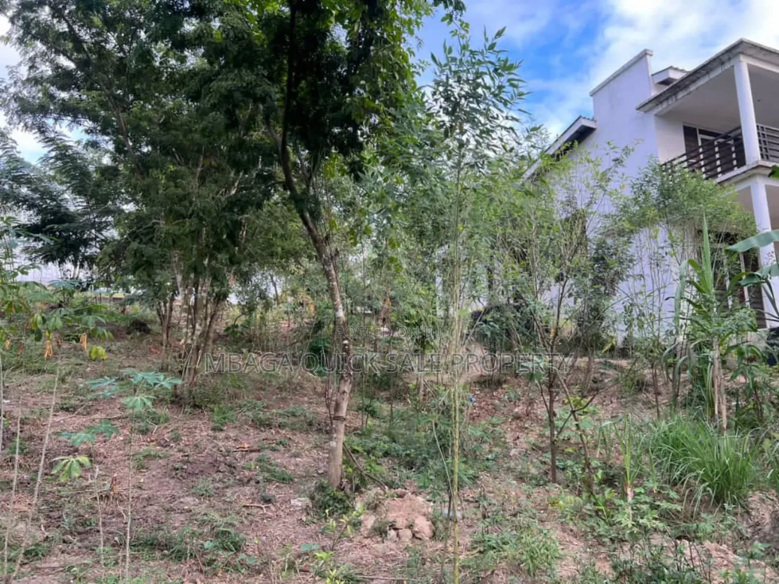 2 Plot for Sale at Goba Kulangwa