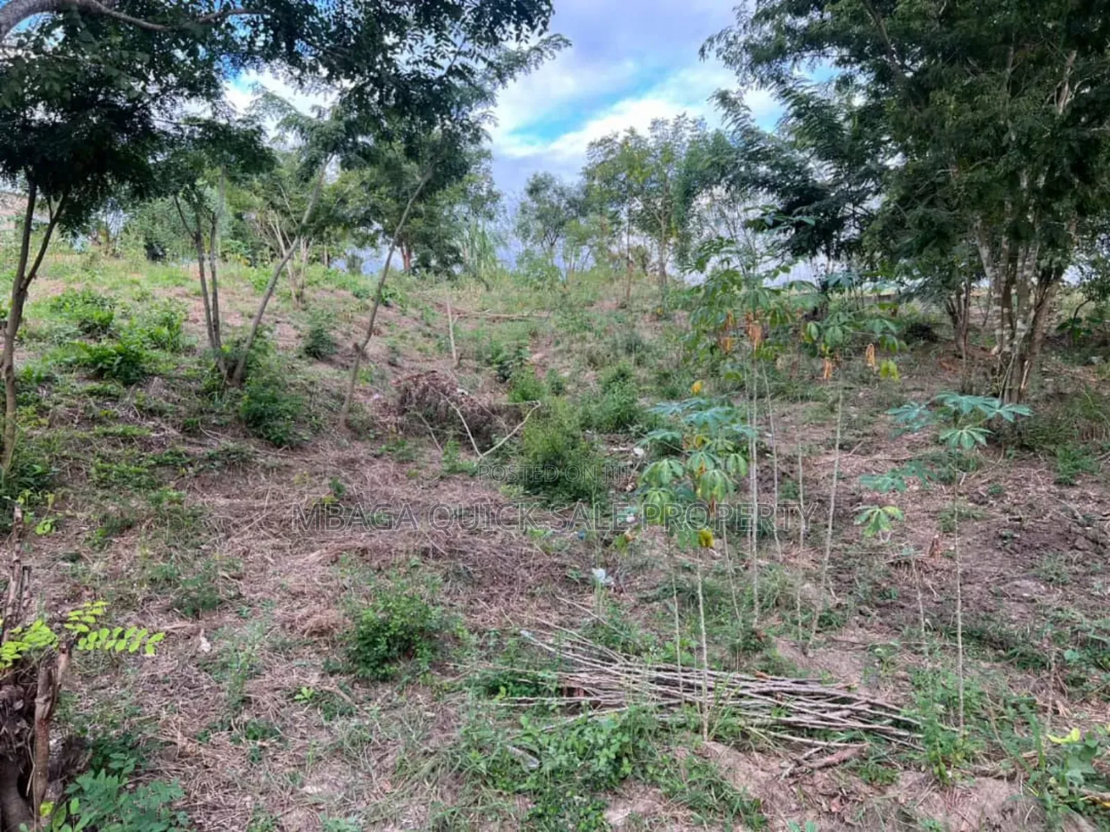 2 Plot for Sale at Goba Kulangwa