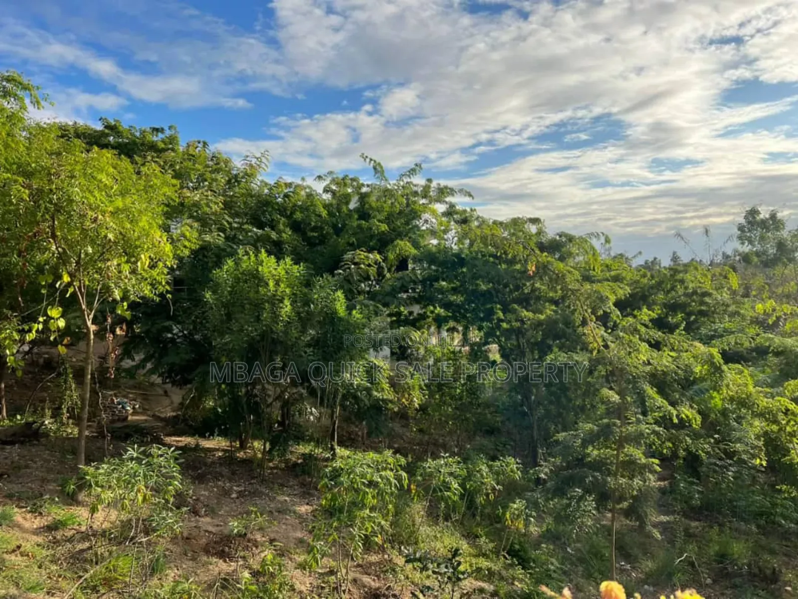 2 Plot for Sale at Goba Kulangwa