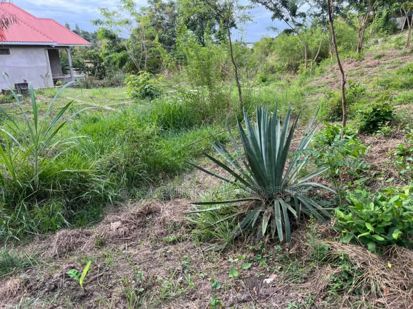 2 Plot for Sale at Goba Kulangwa