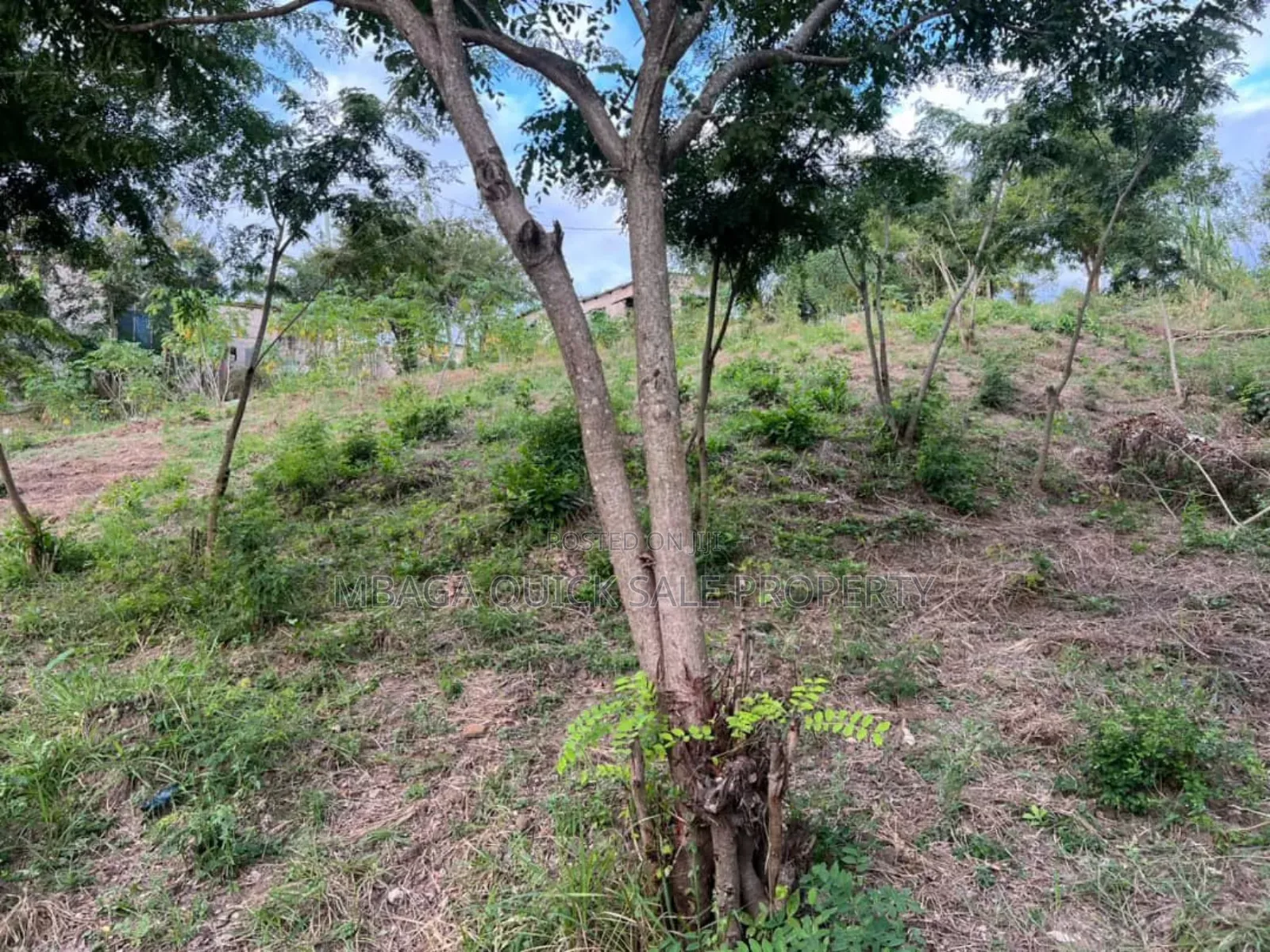 2 Plot for Sale at Goba Kulangwa