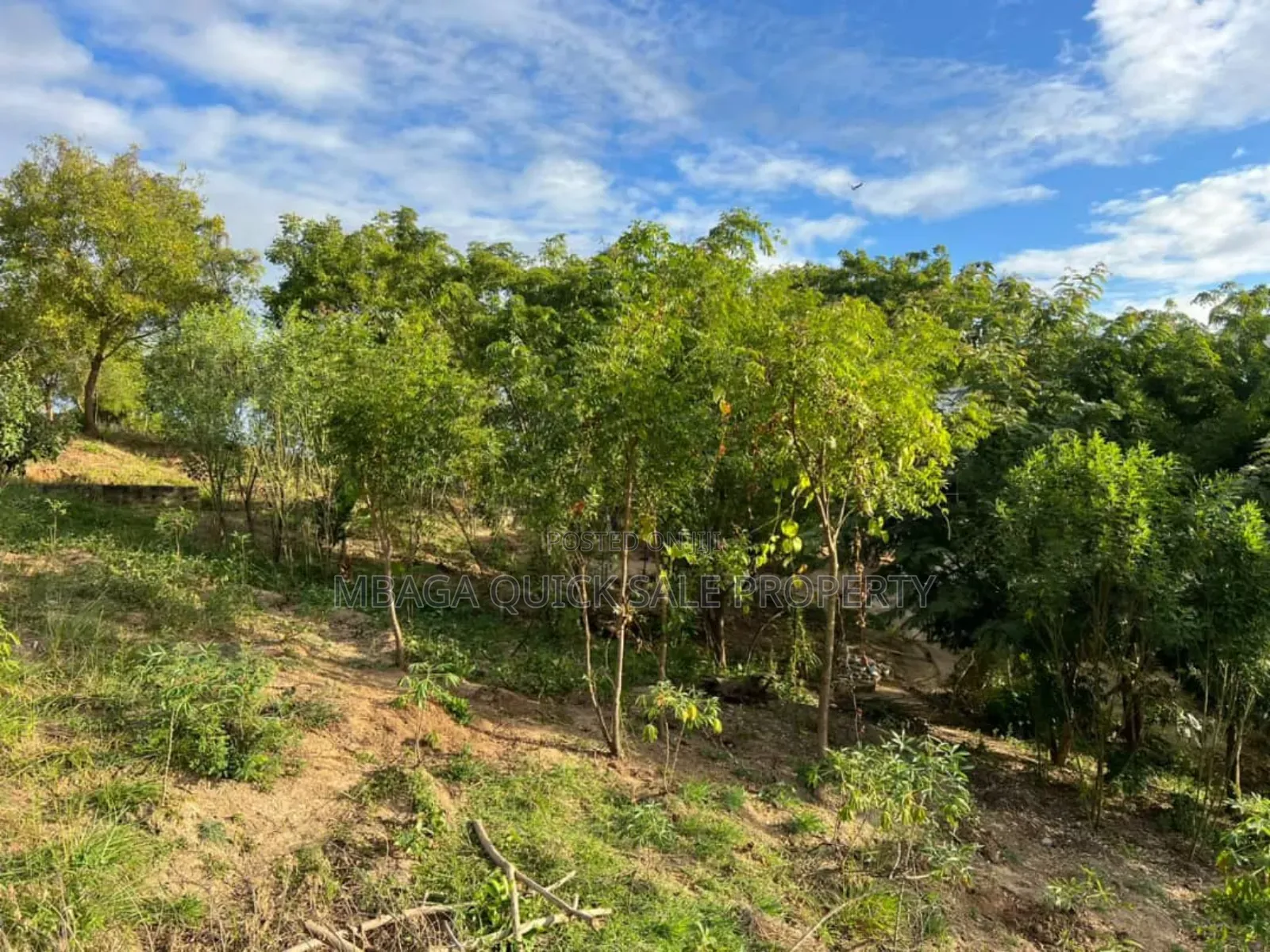 2 Plot for Sale at Goba Kulangwa