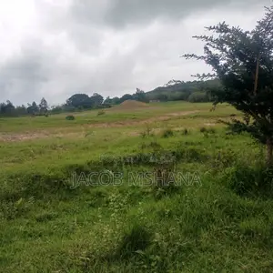 Ardhi Inauzwa-Ekari 800