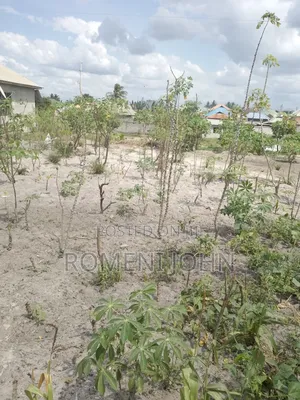 Eneo La Kibiashara Na Makazi Linauzwa Milioni 18.5 Mkolemba.
