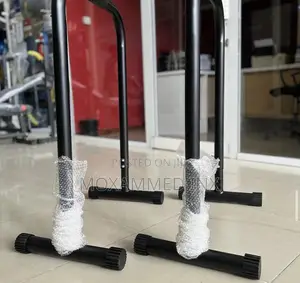 Excersing Parralel Bars Pair