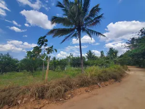 Plot for Sale at Madale Mkoroshini