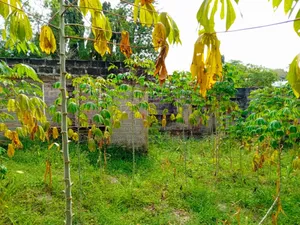 Plot for Sale at Mbezi Center