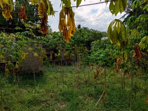 Plot for Sale at Mbezi Center