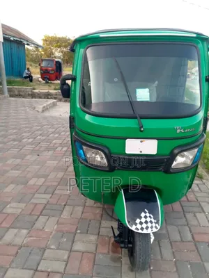 TVS King Deluxe Plus iTouch Start 2024 Green
