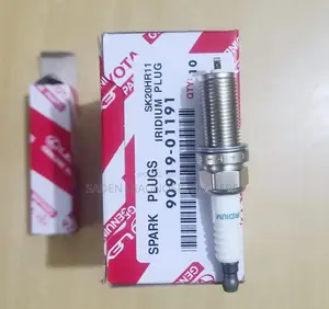Spack Plug