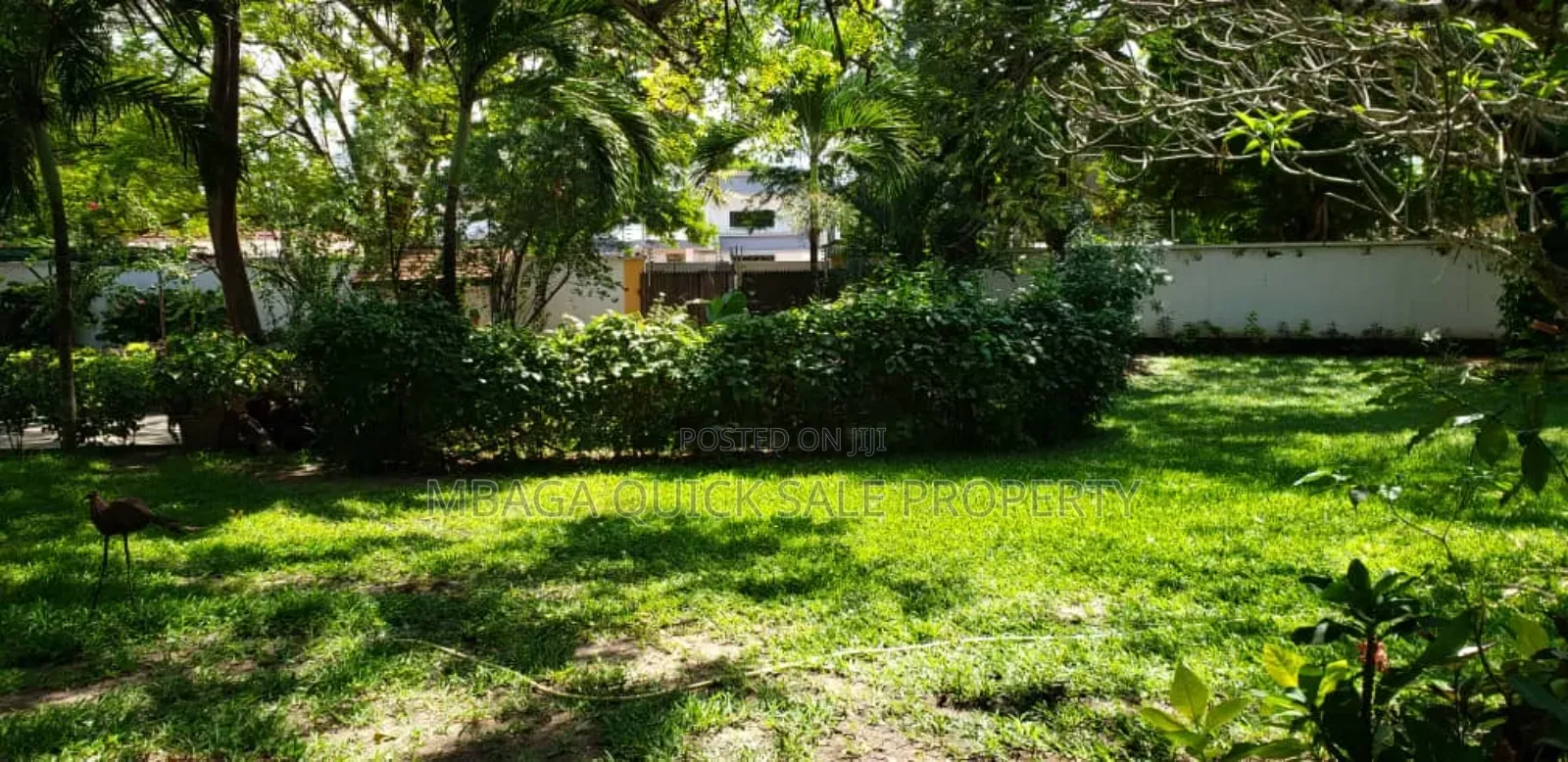 3bdrm House in Oyster Bay for rent