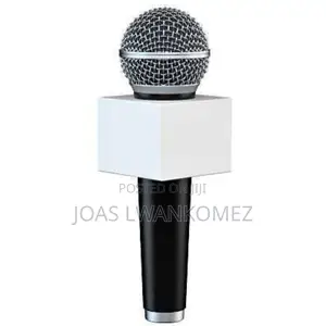 Microphone With Logobox