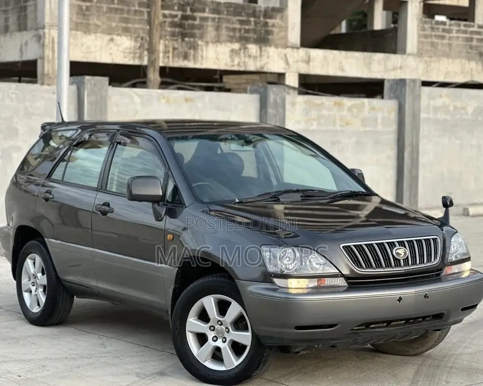Toyota Harrier 2002 Gray
