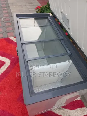 Freezer Used Lita 220