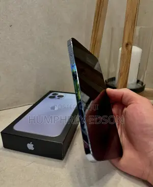 New Apple iPhone 13 Pro Max 256 GB Blue