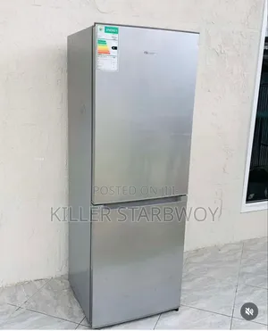 Hisense Lita 271 Litres