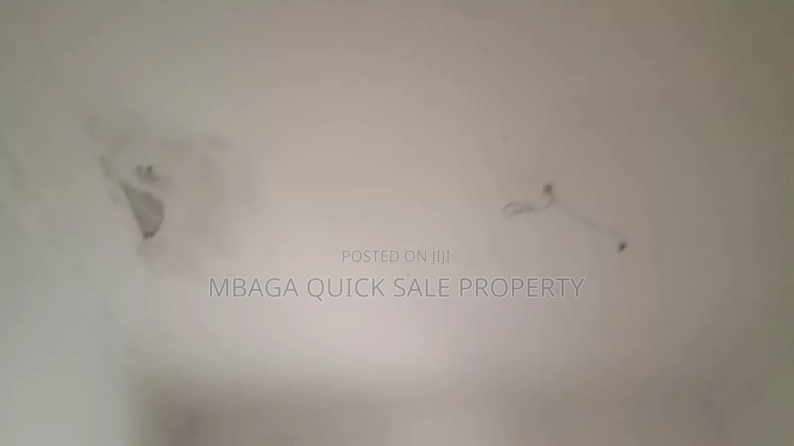 2bdrm Apartment in Msasani Center for rent