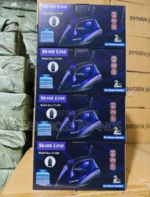 Silver Love Steam Iron