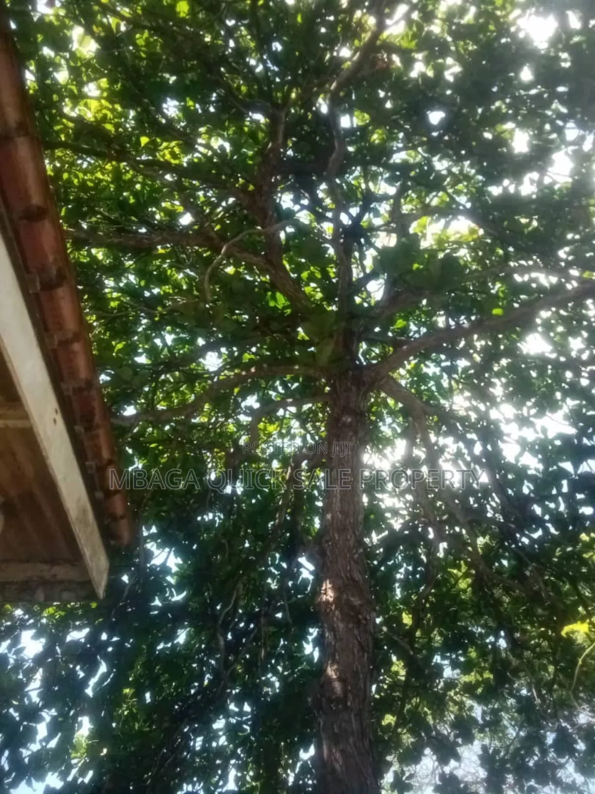 6bdrm House in Mbezi Beach for rent