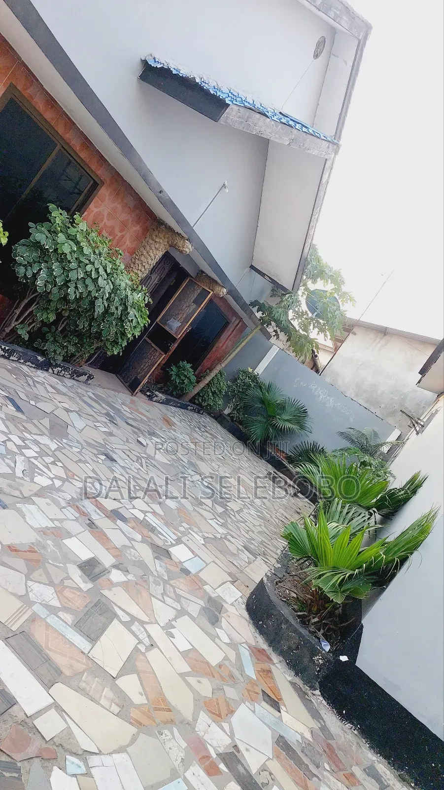 4bdrm Bungalow in Msasani for rent