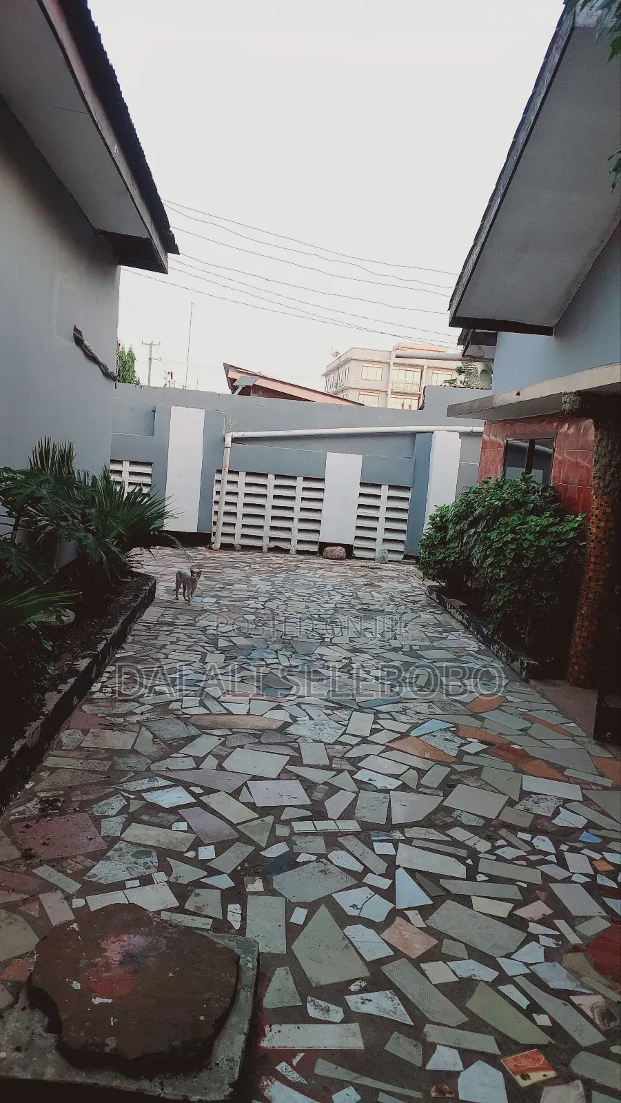 4bdrm Bungalow in Msasani for rent