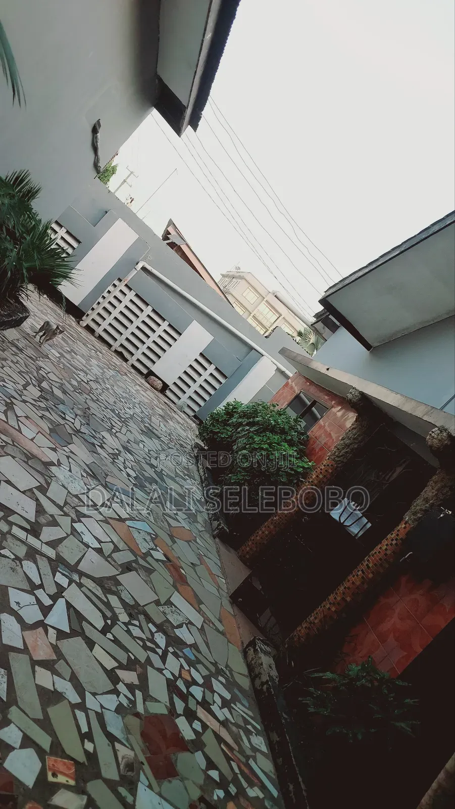 4bdrm Bungalow in Msasani for rent