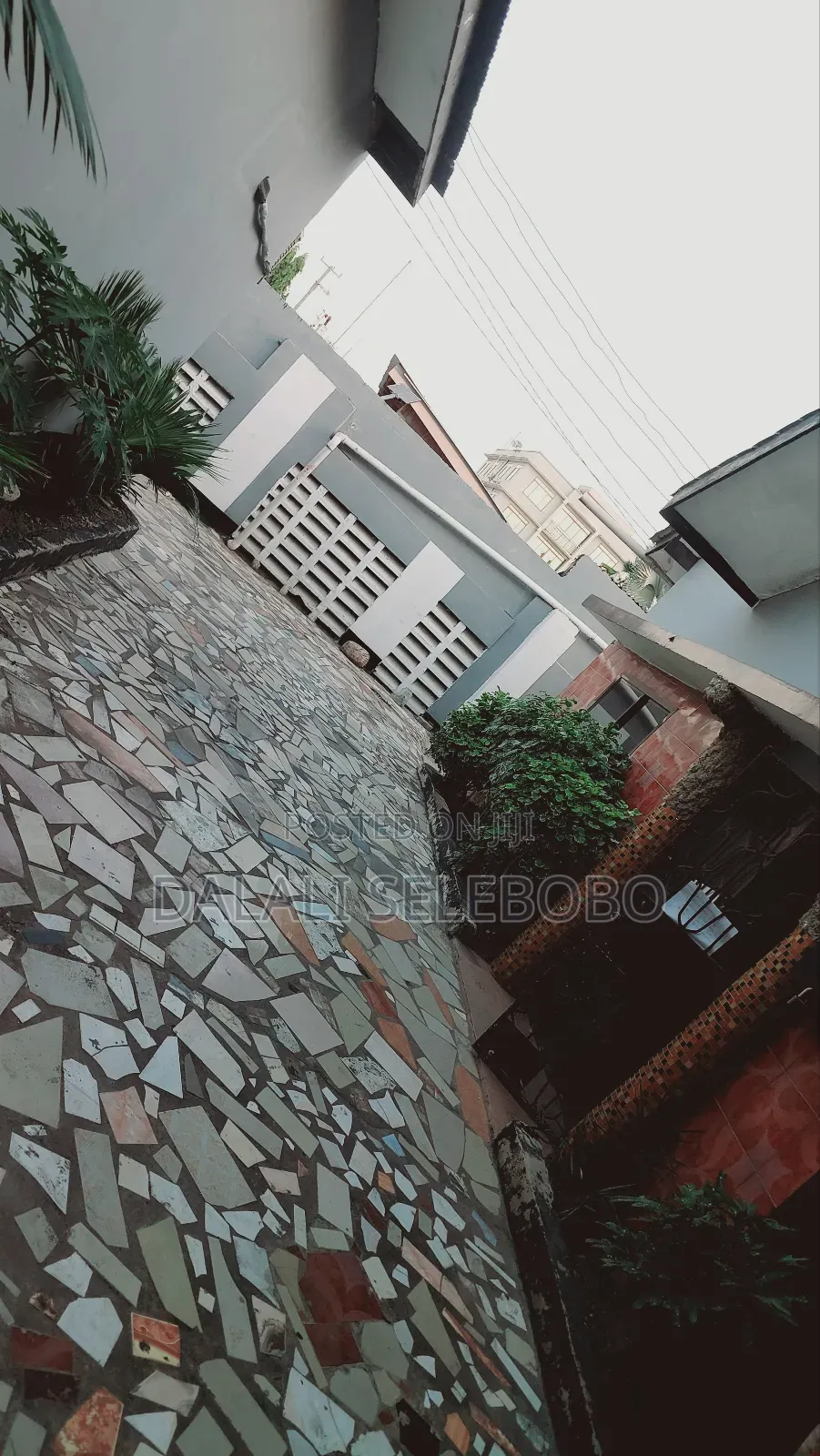 4bdrm Bungalow in Msasani for rent