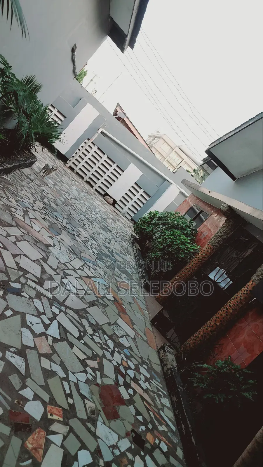 4bdrm Bungalow in Msasani for rent