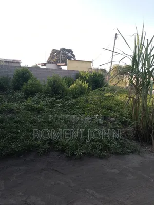 Eneo Sqmita 400 Linauzwa Milioni 7.5 Ukonga Majohe Chuo Rada