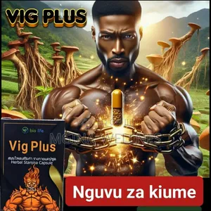 Vig PLUS for Men Vitality