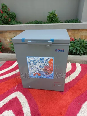 Frizzer Litres 150