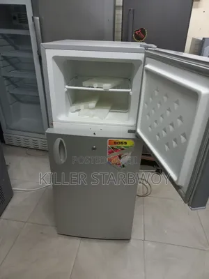 Fridge Lita 118