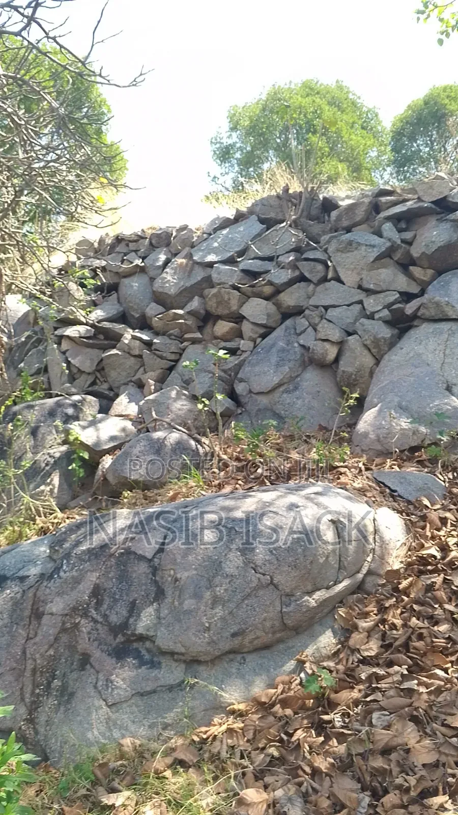Beach Plot for Sale