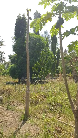 Beach,Mwanza