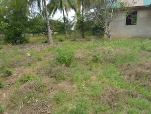 Furnished 1bdrm Apartment in Kunduchi Beach for rent