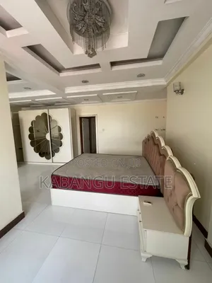 3 Bedrooms Penthouse for Rent Kariakoo